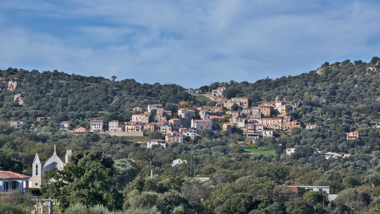 Apartamento locations calenzana Exterior foto
