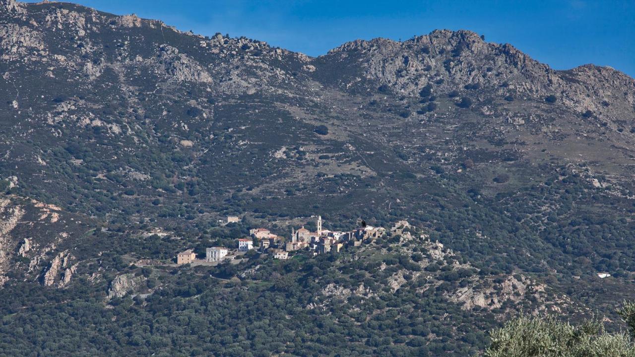 Apartamento locations calenzana Exterior foto